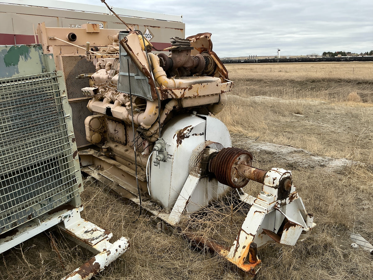 Stock #4886-161 - Cat D379 - image 3