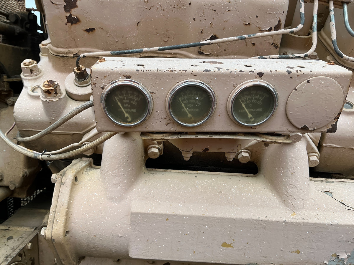 Stock #4886-161 - Cat D379 - image 6